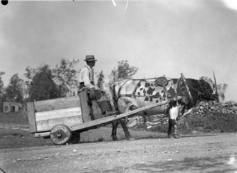 Image10