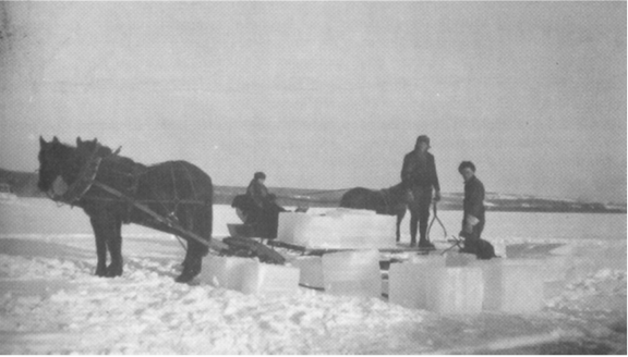Image4